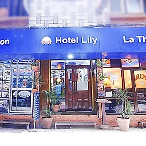 Отель Lily